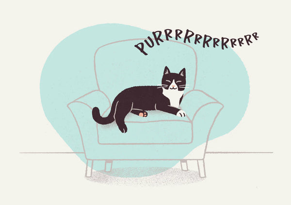 Cat Illustration