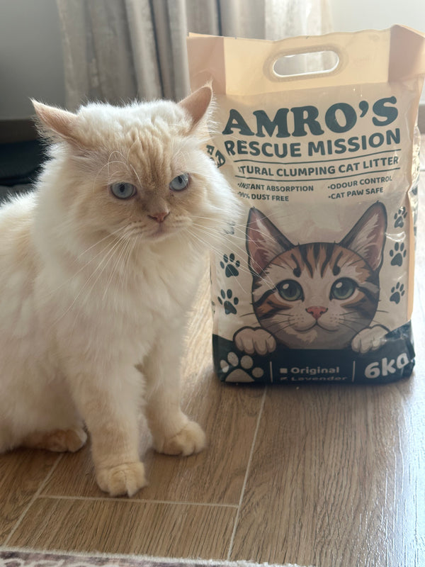 Cat Litter Feature