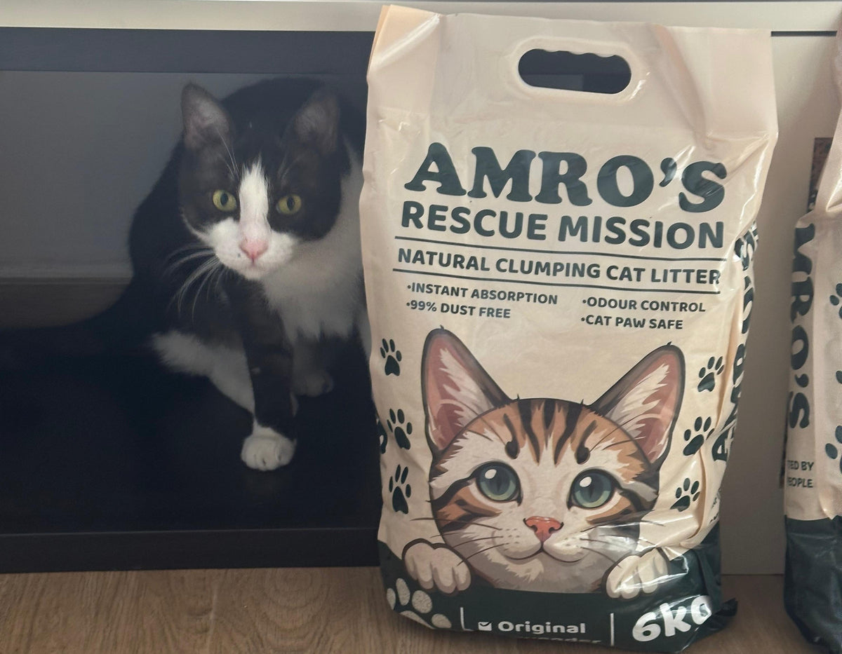 5 Reasons UAE Cat Owners Are Switching To Amro's Cat Litter.