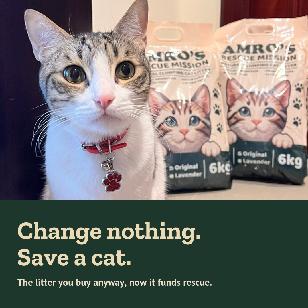 Natural Clumping Cat Litter