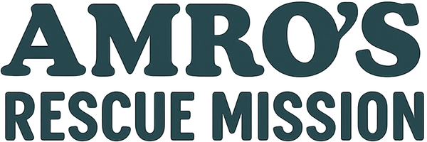 Amro’s Rescue  Mission