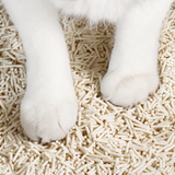 Tofu Cat Litter